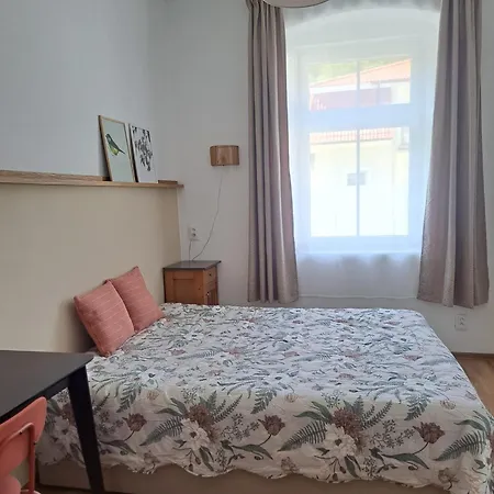Apartment Amelie - Near & Nature Karlovy Vary